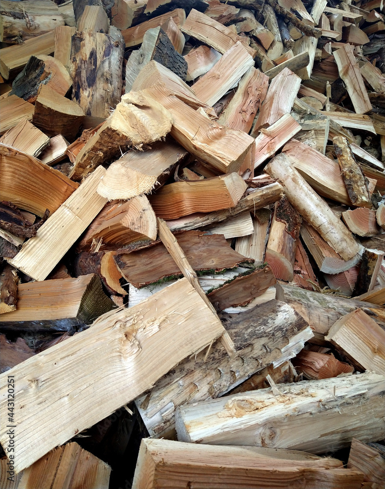 woodpile woodpile