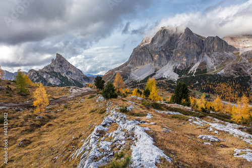 Beautiful autumn view Tofana di Rozes mountain with yellow larch trees on foreground. Dolomite Alps near Falzarego Pass.