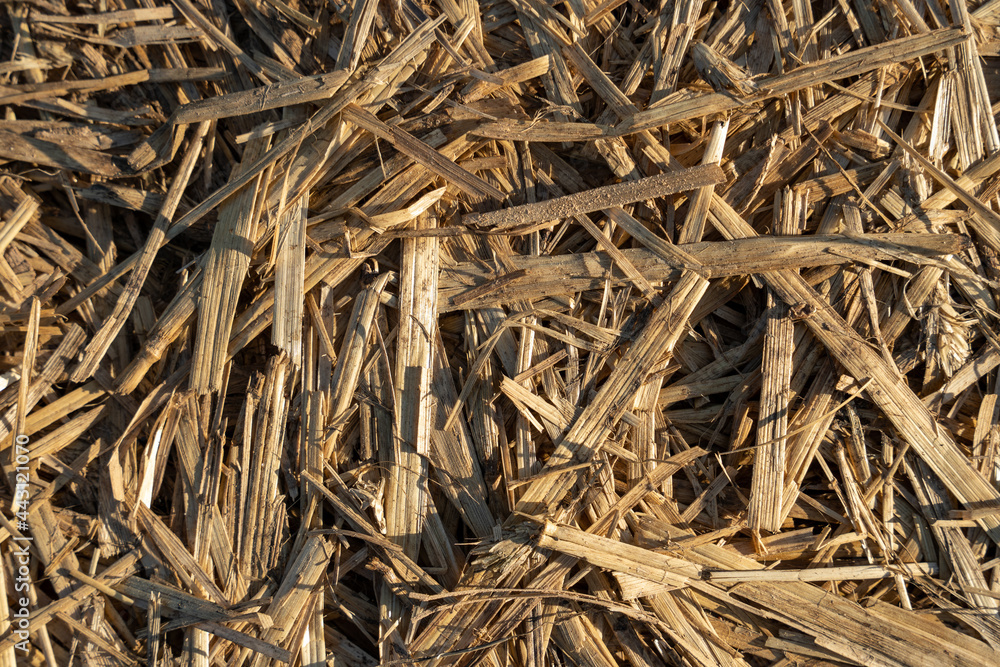 close-up of an old flattened straw forming an interesting retro pattern close-up of an old flattened straw forming an interesting retro pattern
