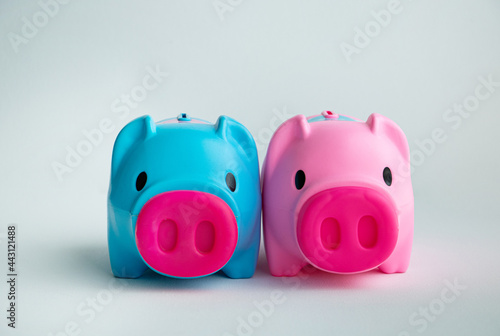 piggy bank pink and blue color on a white background. Couple toy saving money