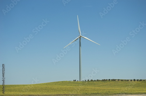 Wildmill on a yellow meadow of cádiz, Andalusia, Spain