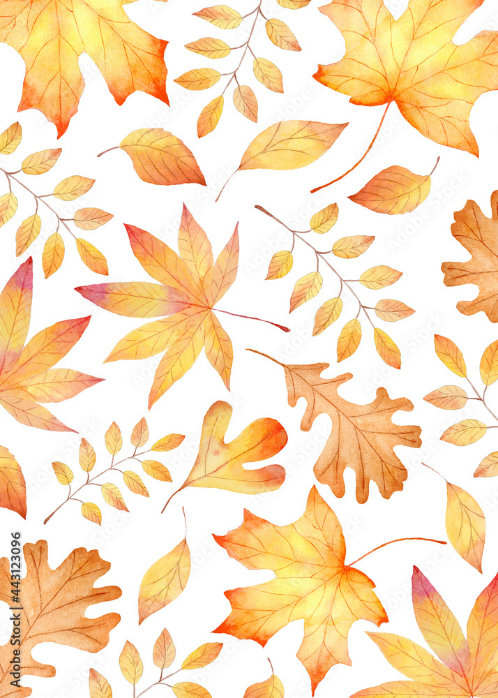 Fall leaves watercolor clipart. Orange leaf hand painted illustration.