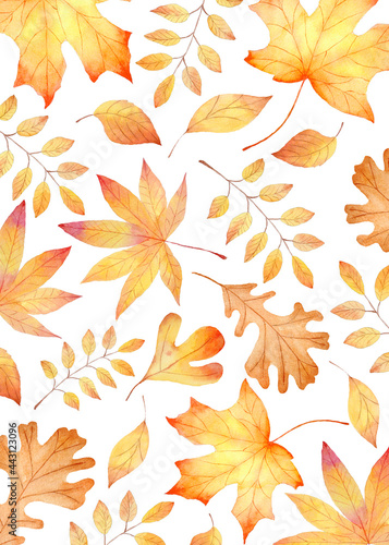 Obraz na płótnie Fall leaves watercolor clipart. Orange leaf hand painted illustration. w salonie
