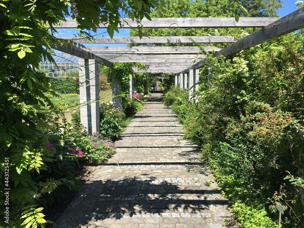 Obraz premium Landscape of the Botanical Garden St. Gallen or Landschaft des Botanisches Garten St. Gallen, Schweiz (The Botanical Garden in Saint Gall, Switzerland)