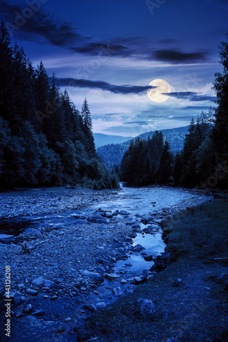 mountain river runs through forested valley. countryside scenery on a summer night. trees and stones on the shore in full moon light. low ammount of water. stream shallowing or drought concept photo