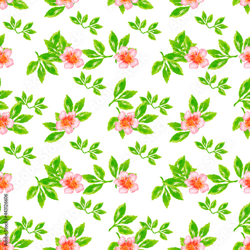 Watercolor seamless paper Simple wildflowers.Watercolor floral seamless pattern .White flower ornament. © AnaNas