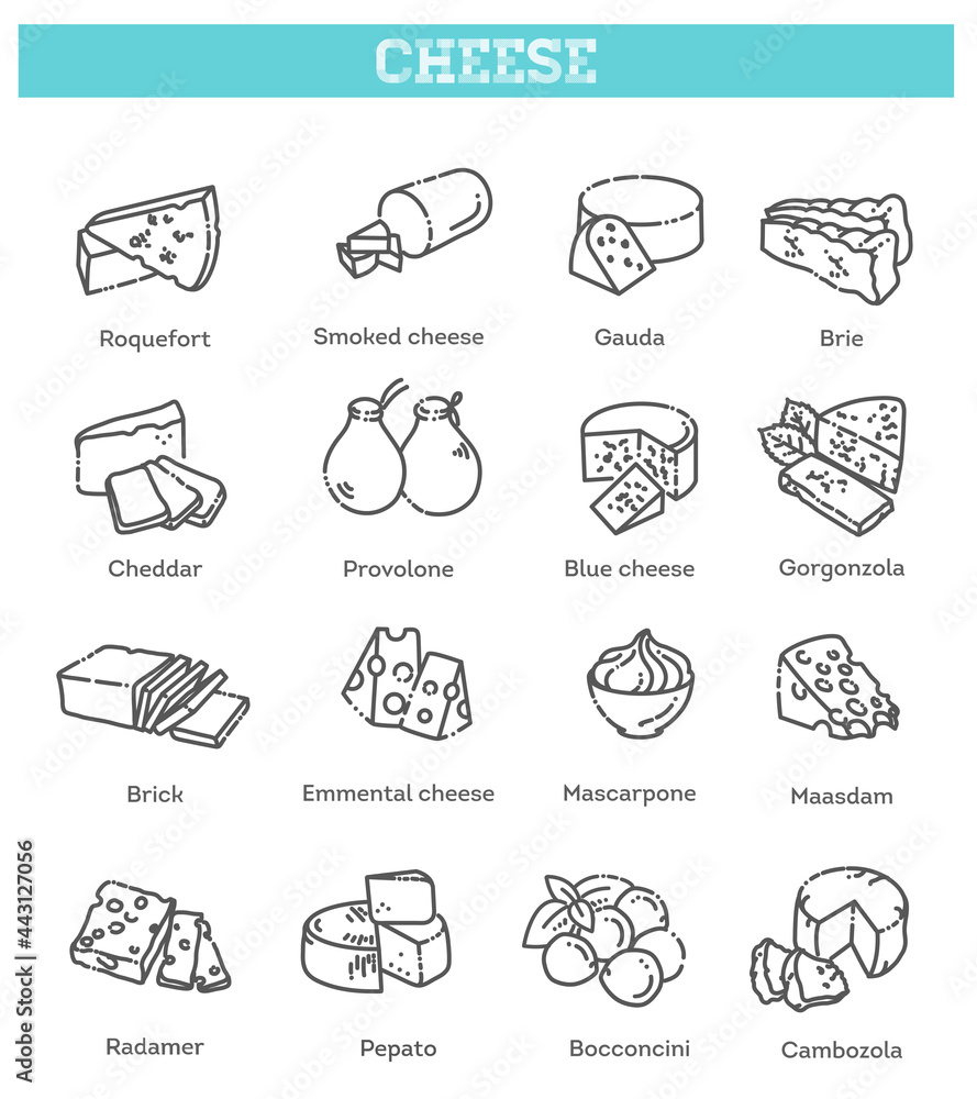 Cheese collection. Vector illustration of cheese types Stock Vector