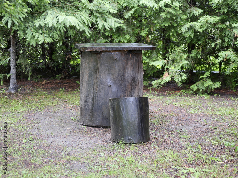 Fototapeta premium feeder in the garden