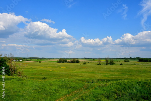 A view of a vast field, meadow, or pastureland covered with grass, herbs, shrubs and trees see on a cloudy summer day on a Polish countryside during a hike