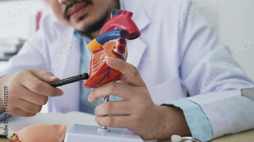 slow motion cardiologist expertise pointing on heart model to give advice and consult to patient about therapy of heart attack in office at clinic for health insurance lifestyle concept