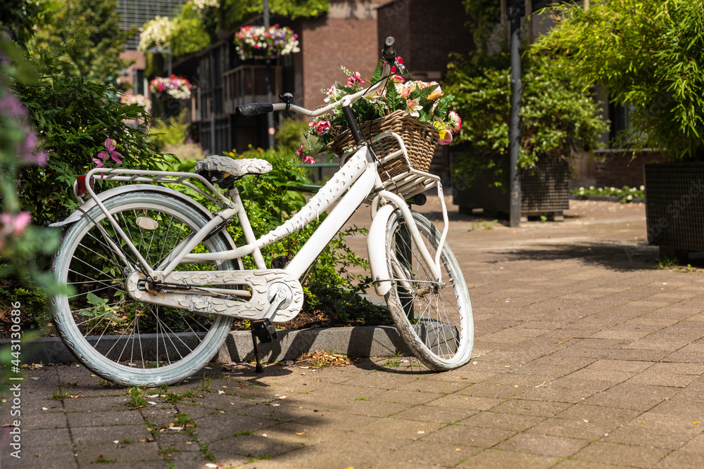 White parked bicycle with a basket and flowers inside in a green street in the center of Eindhoven city with lots of greenery, nature and plants creating a romantic mindful scenery