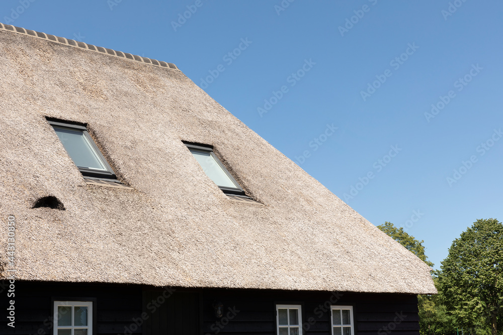 A thatched roof consisting out of a natural reed straws, an eco friendly, ecological sustainable material on a sunny day and a blue sky in The Netherlands A thatched roof consisting out of a natural reed straws, an eco friendly, ecological sustainable material on a sunny day and a blue sky in The Netherlands