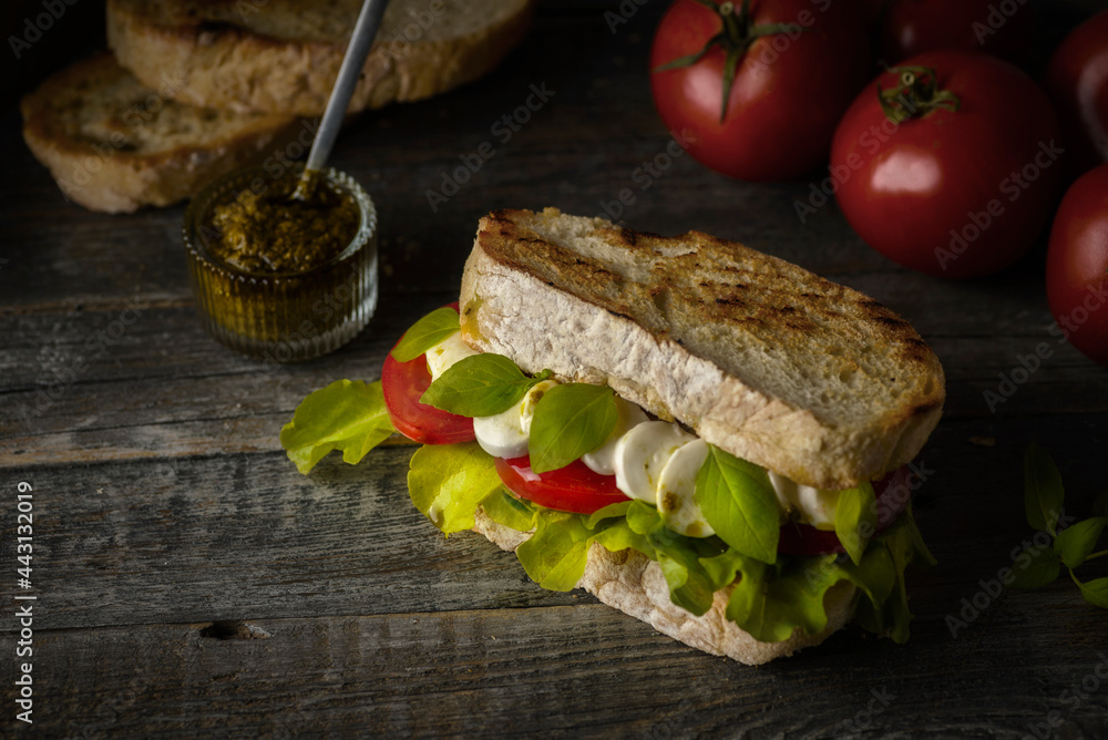 sandwich with mozzarella and tomatoes sandwich with mozzarella and tomatoes