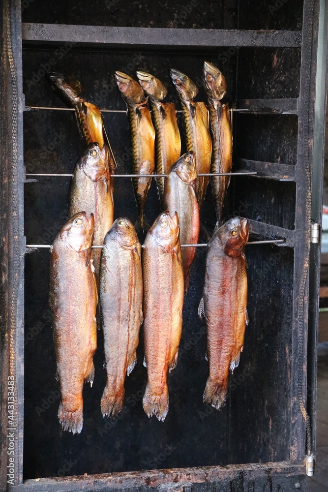 Fresh fish in the smoker