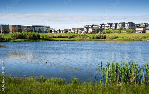 A storm retention pond creates natural habitat in a new urban community in Airdrie Alberta Canada.