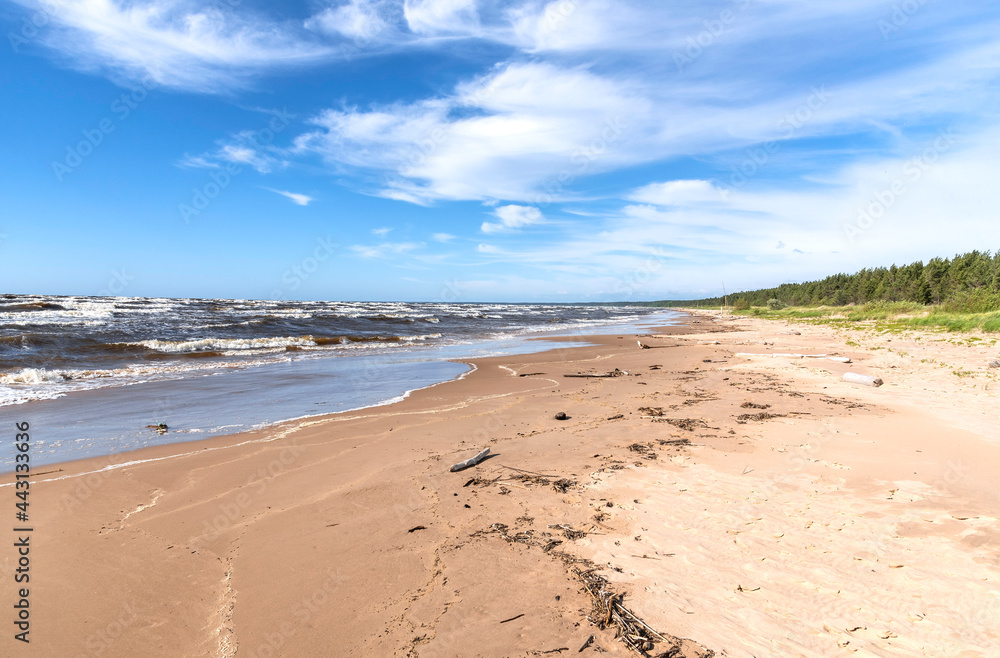 Empty sandy beach of Baltic sea at sunny summer day Empty sandy beach of Baltic sea at sunny summer day
