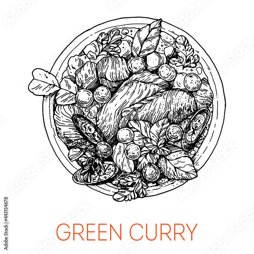 Chicken green curry, thai food. Hand drawn vector illustration. Sketch style. Top view. Vintage vector illustration.