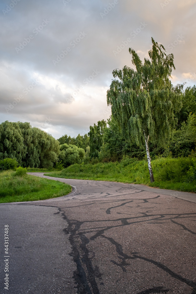 A picturesque asphalt path in the park. Cycling track in Moscow. Park Krylatskie Hills in Moscow. Walkway in the summer park. A picturesque asphalt path in the park. Cycling track in Moscow. Park Krylatskie Hills in Moscow. Walkway in the summer park.