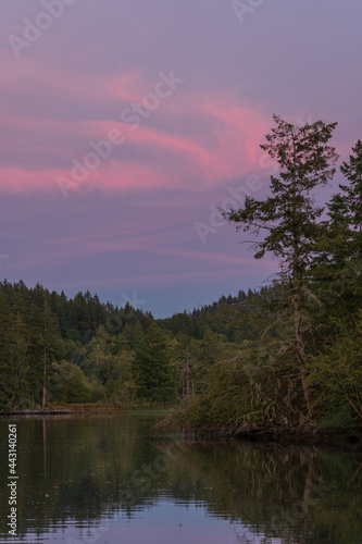 Pink Skies Over Mud Bay At Sunset