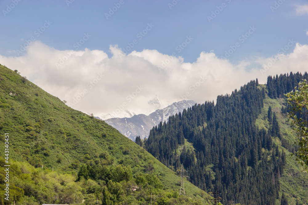 Late-Spring landscape in Kazakhstan: green mountains, trees and blue cloudy sky