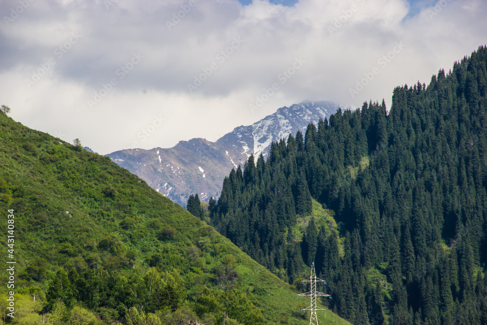Late-Spring landscape in Kazakhstan: green mountains, trees and blue cloudy sky