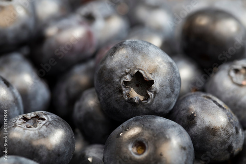 fresh blue blueberries are spherical