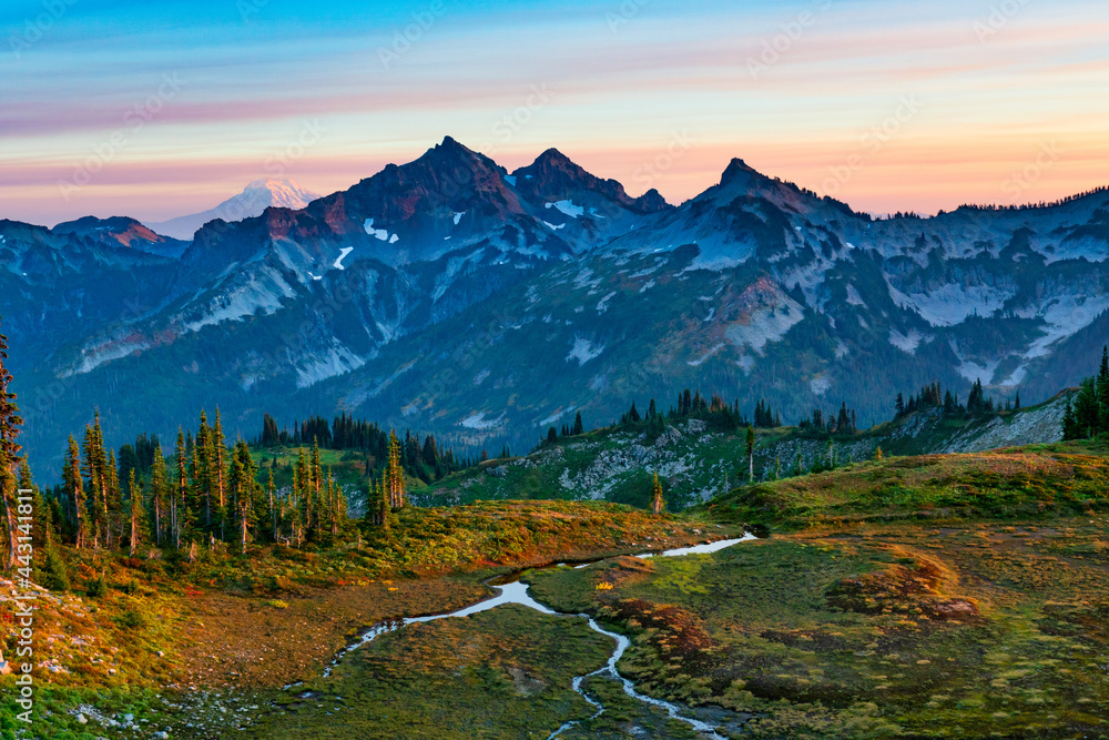 Fototapeta premium Paradise Glacier Trail At Mount Rainier