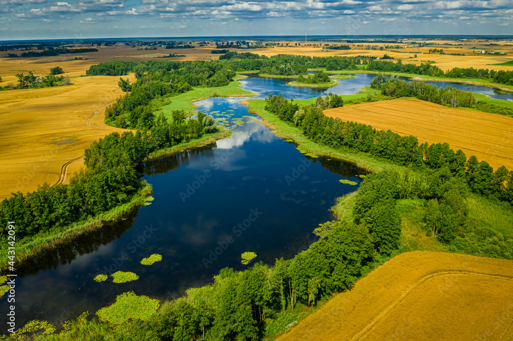 Forest and small lake in summer. Aerial view of nature.