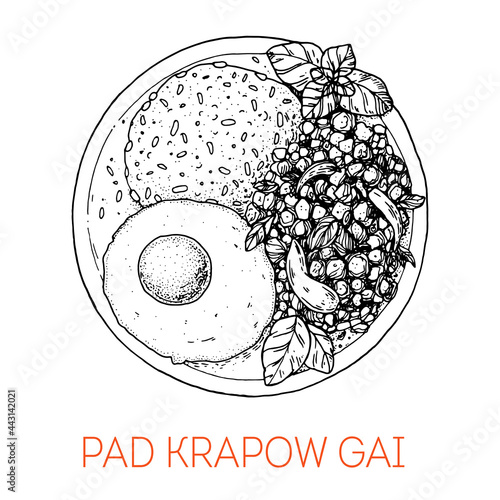 Pad krapow gai, Thai basil and fried egg. Thai food. Hand drawn vector illustration. Sketch style. Top view. Vintage vector illustration.