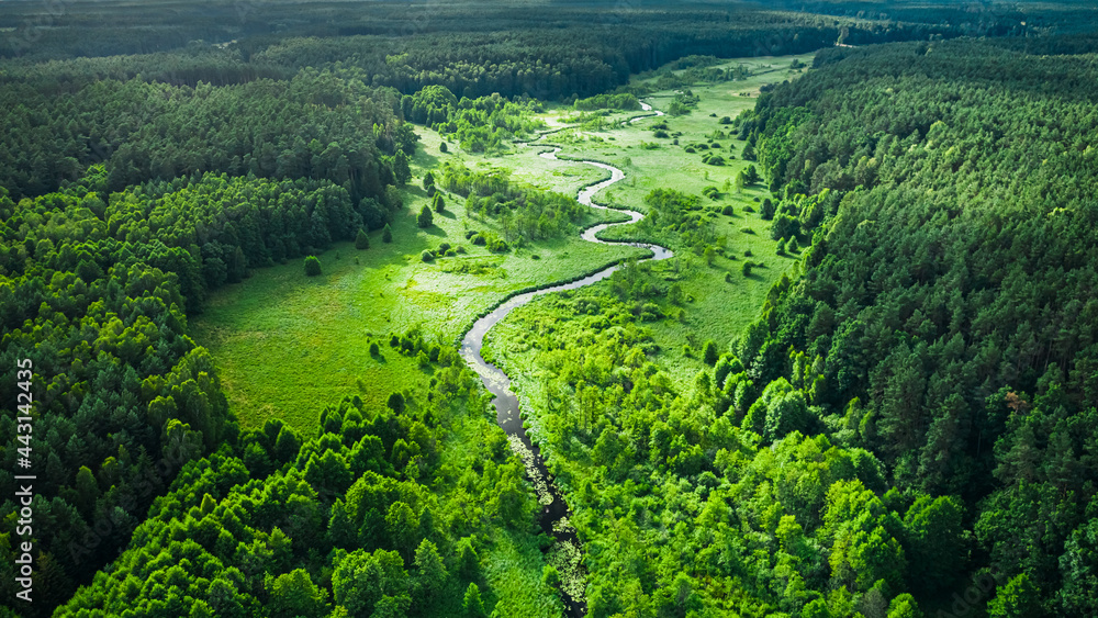 Obraz na płótnie Curvy river and green forest. Aerial view of wildlife, Poland. w salonie