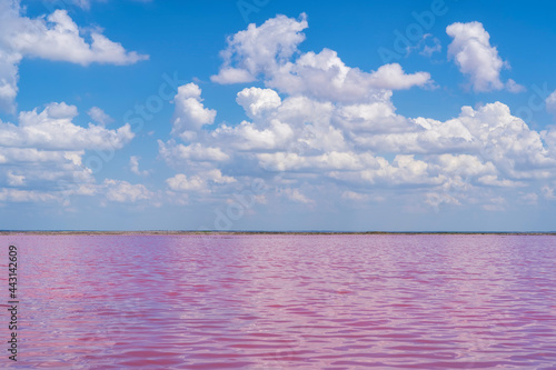 Pink color of salt lake and deep blue sky, minimalistic natural landscape. Pink lake which boasts pink hue created by presence of carotenoid-producing algae Dunaliella salina photo