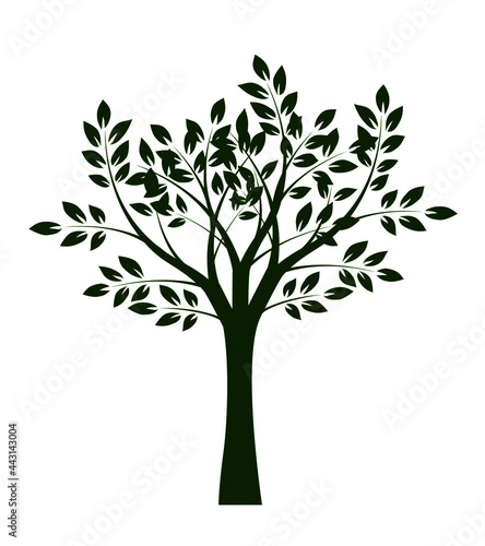 Green tree and vector illustration.