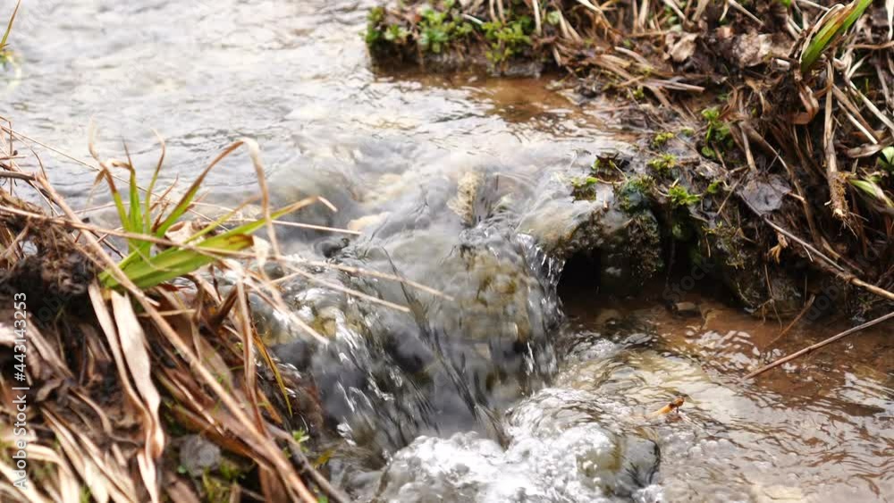Wonderful clear stream close up natural background. Wonderful clear stream close up natural background.