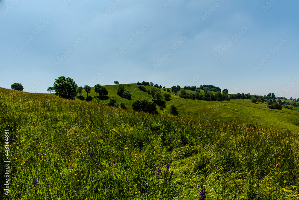 Fototapeta premium 2021 06 13 Lessini flowering spring 5