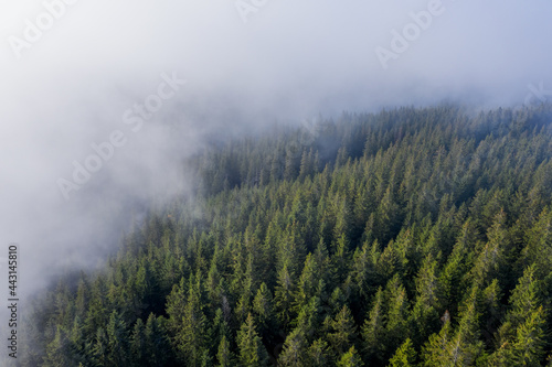 Aerial view of thick fog covering the forest in the mountains.