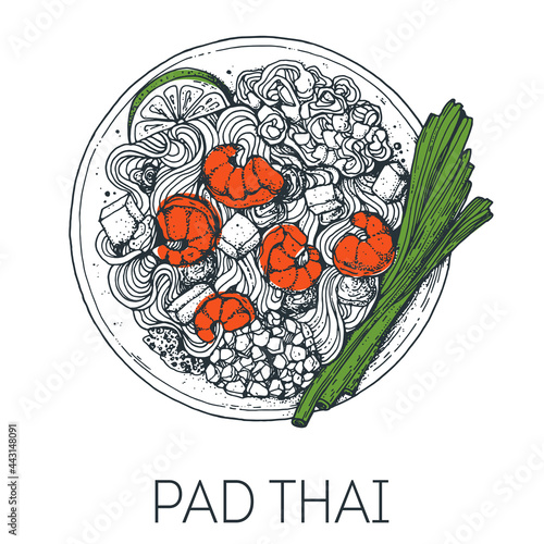 Pad thai noodles, thai food. Hand drawn vector illustration. Sketch style. Top view. Vintage vector illustration.