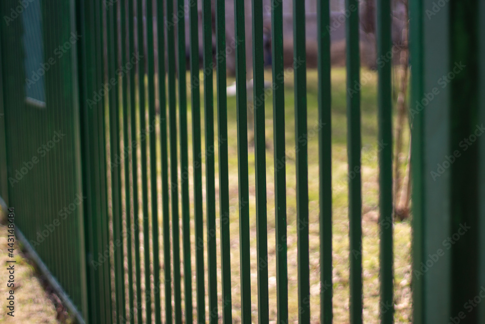 Green fence. Fencing around the territory. Green fence. Fencing around the territory.