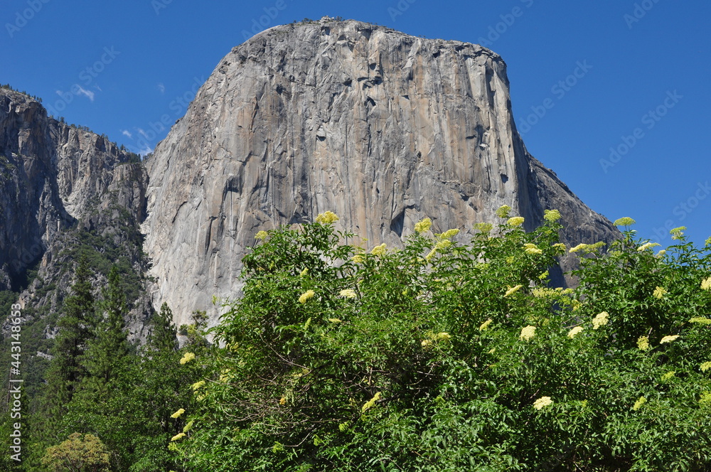 El Capitan Yosemite National Park California