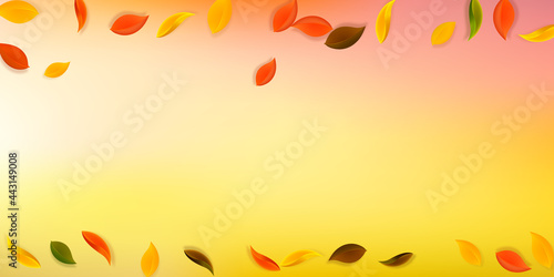 Falling autumn leaves. Red, yellow, green, brown n