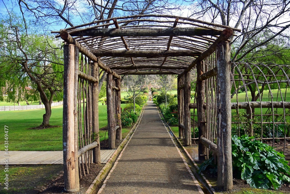 picturesque trellis and the government gardens at the port arthur historic site, port arthur, tasmania, australia