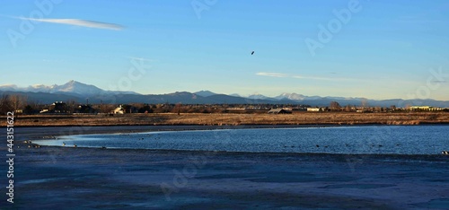 panoramic view of  frozen stearns lake,  canada geese, and mountains, at the carolyn holmberg preserve at rock creek farm,  in broomfield, colorado photo