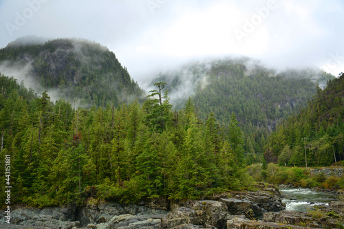 picturesque mountains, forest of giant cedar trees, and the rocky kennedy  river on a foggy day in the interior of vancouver island, near port alberni,   british columbia, canada  photo