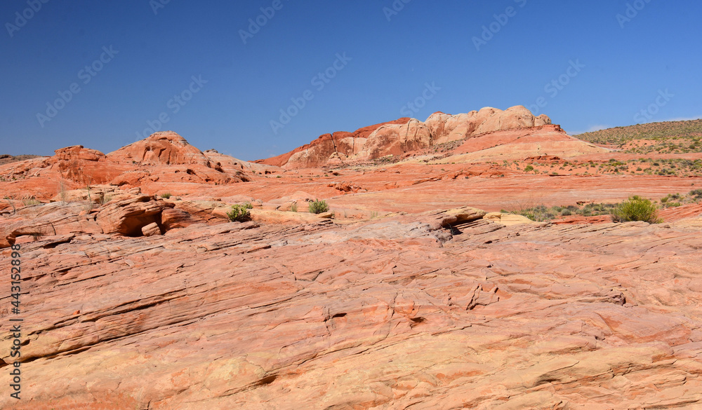the colorful and eroded desert landscape of valley of fire state park on a sunny day , near overton, nevada