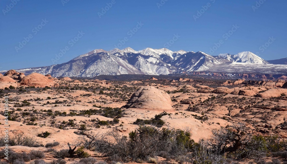 Fototapeta premium petrified sand dunes and the snow-capped la sal mountains in arches national park, near moab, utah