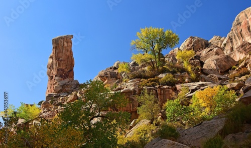 incredible fall colors and a striking rock pinnacle along the hackberry canyon hiking trail off cottonwood canyon road in grand staircase escalante in southwestern utah, near kanab