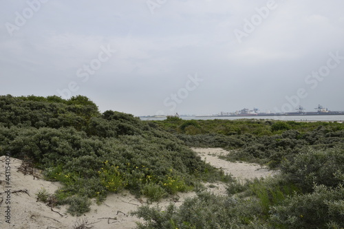 Hoek van Holland walks