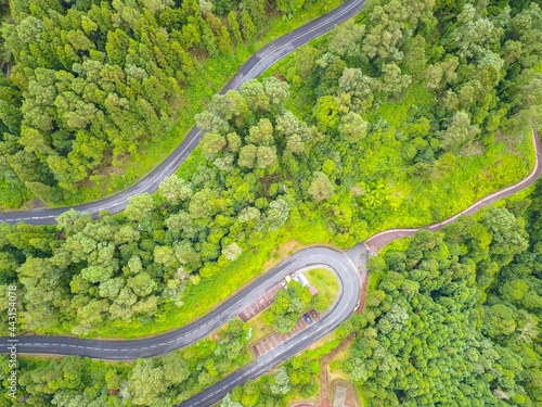 Aerial view of a tropical road surrounded by trees from above by a drone.