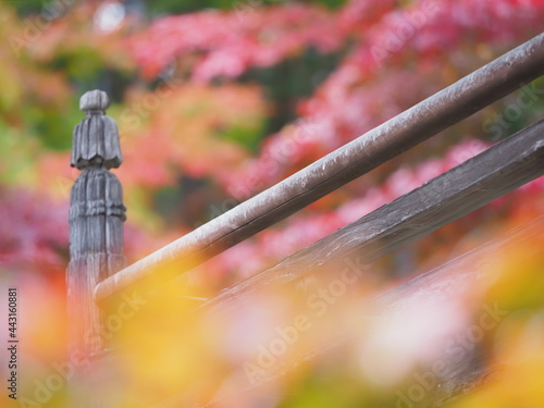 紅葉とお寺の建物