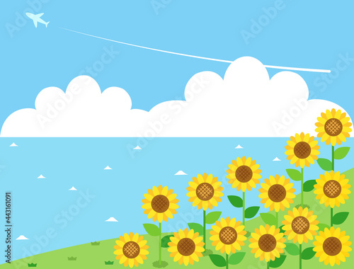 ひまわりと海の夏をイメージしたイラスト