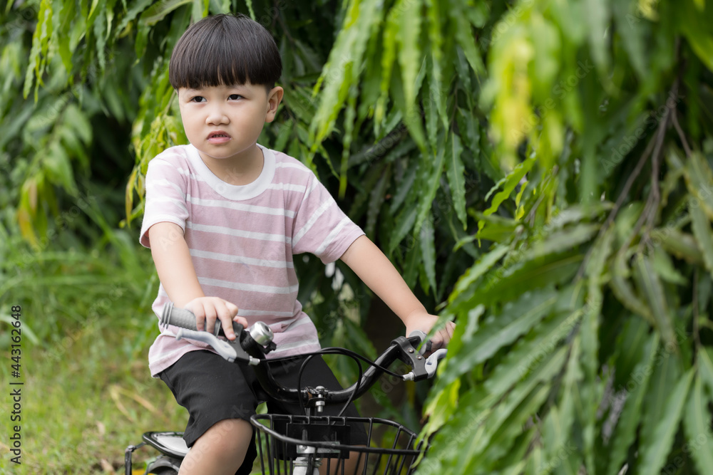Asian child on a bike ride in the autumn park. Happy smiling child cycling outdoors. Active lifestyle, hobby. Asian child on a bike ride in the autumn park. Happy smiling child cycling outdoors. Active lifestyle, hobby.